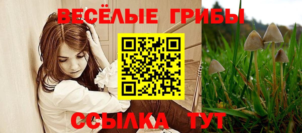 Псилоцибиновые грибы прущие грибы Выкса
