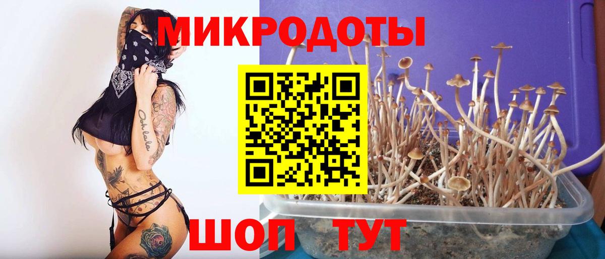 Псилоцибиновые грибы GOLDEN TEACHER  Вход с VPN  Псилоцибиновые грибы Psilocybe  Выкса 